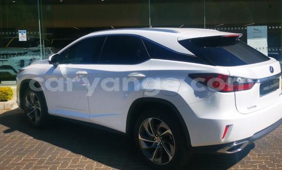 Buy Used Lexus RX White Car in Gobabis in Omaheke Buy Used Lexus RX White Car in Gobabis in Omaheke
