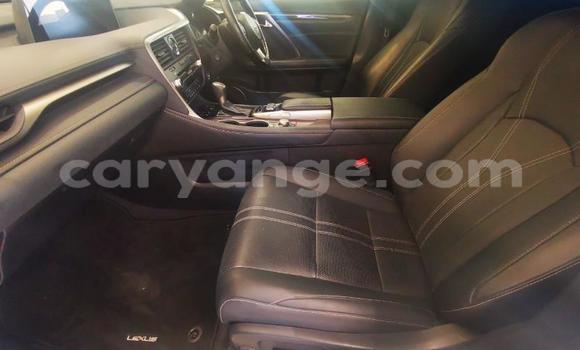 Buy Used Lexus RX White Car in Gobabis in Omaheke Buy Used Lexus RX White Car in Gobabis in Omaheke