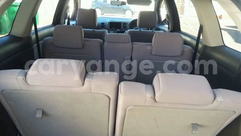 Big with watermark 30629329 194112211393369 244064733525704704 n