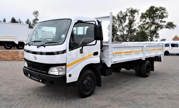 Buy Used Toyota Dyna White Truck in Grootfontein in Namibia