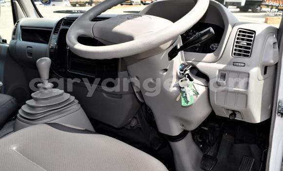 Buy Used Toyota Dyna White Truck in Grootfontein in Namibia Buy Used Toyota Dyna White Truck in Grootfontein in Namibia