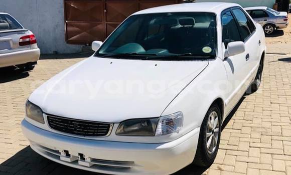 Cars for sale in namibia - caryange