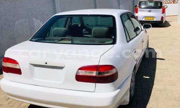 Acheter Occasion Voiture Toyota Corolla Blanc à Arandis, Kunene Acheter Occasion Voiture Toyota Corolla Blanc à Arandis, Kunene