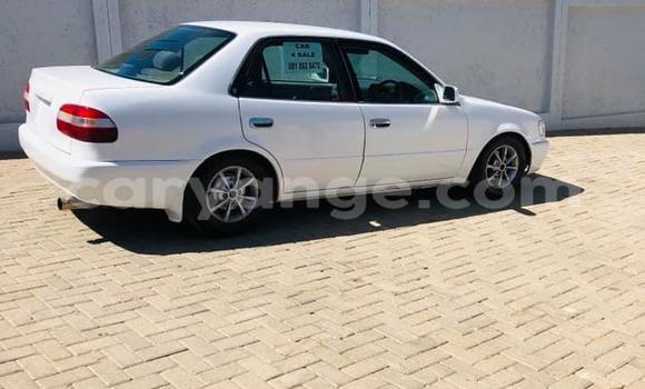Acheter Occasion Voiture Toyota Corolla Blanc à Arandis, Kunene Acheter Occasion Voiture Toyota Corolla Blanc à Arandis, Kunene