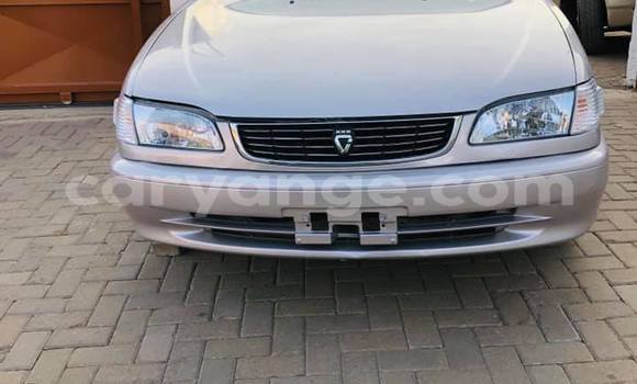 Buy Used Toyota Corolla Silver Car in Arandis in Kunene Buy Used Toyota Corolla Silver Car in Arandis in Kunene