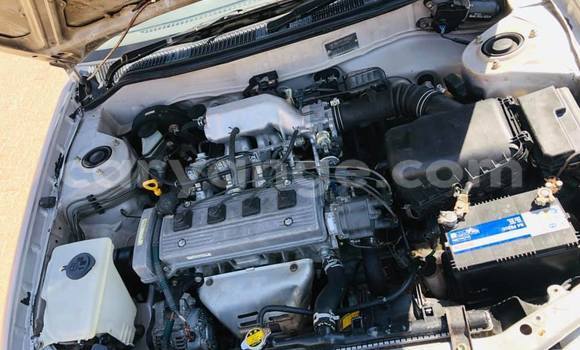 Acheter Occasion Voiture Toyota Corolla Gris à Arandis, Kunene Acheter Occasion Voiture Toyota Corolla Gris à Arandis, Kunene