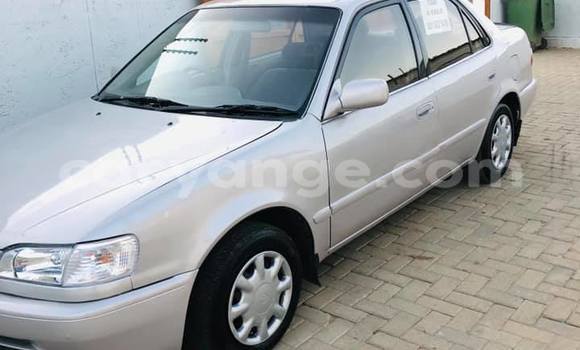 Acheter Occasion Voiture Toyota Corolla Gris à Arandis, Kunene Acheter Occasion Voiture Toyota Corolla Gris à Arandis, Kunene