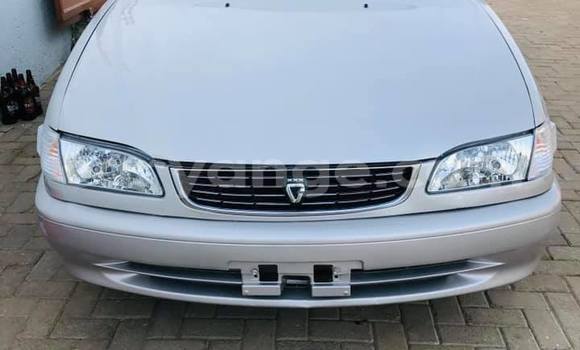 Acheter Occasion Voiture Toyota Corolla Gris à Arandis, Kunene Acheter Occasion Voiture Toyota Corolla Gris à Arandis, Kunene