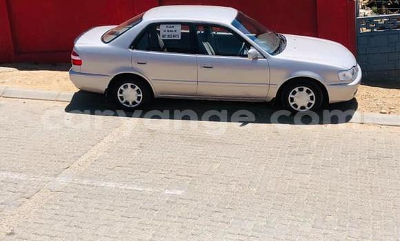 Acheter Occasion Voiture Toyota Corolla Gris à Arandis, Kunene Acheter Occasion Voiture Toyota Corolla Gris à Arandis, Kunene