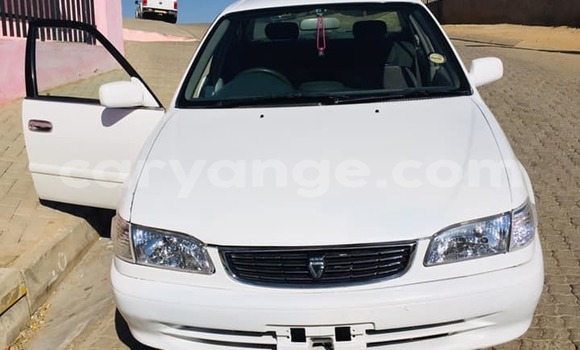 Buy Used Toyota Corolla White Car in Arandis in Kunene