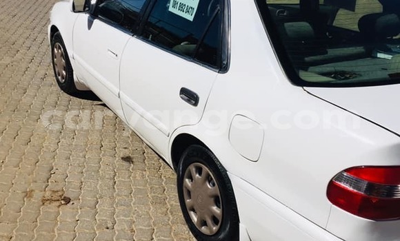 Acheter Occasion Voiture Toyota Corolla Blanc à Arandis, Kunene Acheter Occasion Voiture Toyota Corolla Blanc à Arandis, Kunene