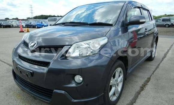 Buy Used Toyota IST Black Car in Windhoek in Namibia Buy Used Toyota IST Black Car in Windhoek in Namibia