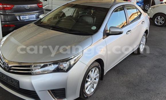 Buy Used Toyota Prius Silver Car in Usakos in Erongo