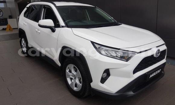 Acheter Occasion Voiture Toyota RAV4 Blanc à Karasburg, Karas Acheter Occasion Voiture Toyota RAV4 Blanc à Karasburg, Karas