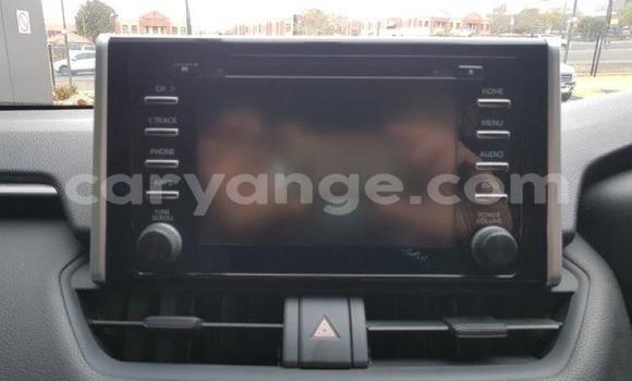 Acheter Occasion Voiture Toyota RAV4 Blanc à Karasburg, Karas Acheter Occasion Voiture Toyota RAV4 Blanc à Karasburg, Karas