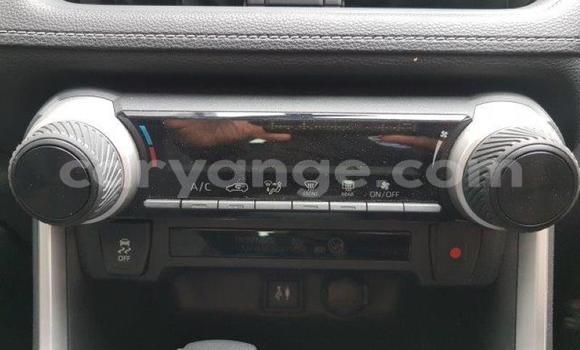 Acheter Occasion Voiture Toyota RAV4 Blanc à Karasburg, Karas Acheter Occasion Voiture Toyota RAV4 Blanc à Karasburg, Karas