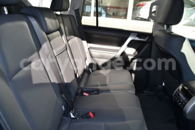 Big with watermark pr8