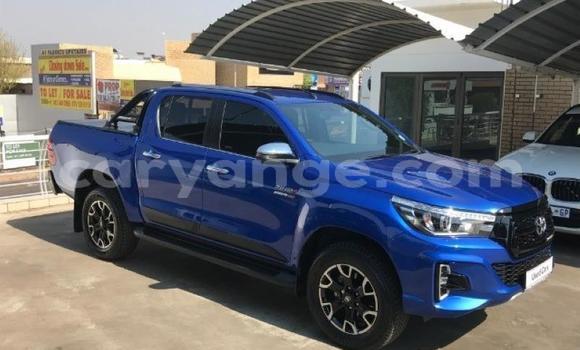 Buy Used Toyota Hilux Blue Car in Karasburg in Karas