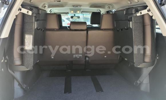 Acheter Occasion Voiture Toyota Fortuner Gris à Grootfontein, Namibie Acheter Occasion Voiture Toyota Fortuner Gris à Grootfontein, Namibie