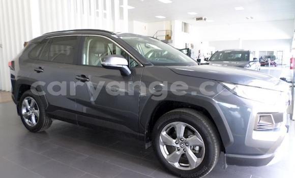 Acheter Occasion Voiture Toyota RAV4 Autre à Karasburg, Karas
