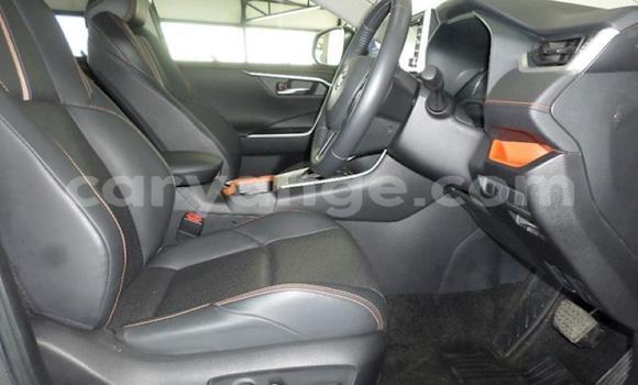 Acheter Occasion Voiture Toyota RAV4 Autre à Karasburg, Karas Acheter Occasion Voiture Toyota RAV4 Autre à Karasburg, Karas
