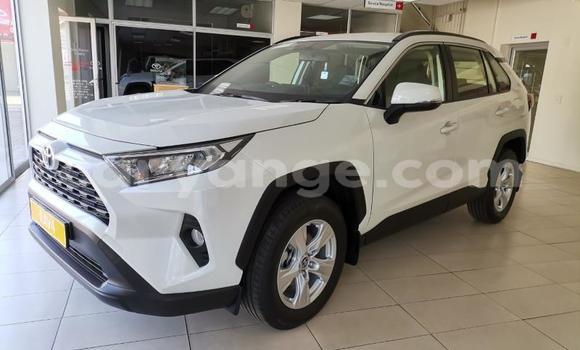 Buy Used Toyota RAV4 White Car in Karasburg in Karas