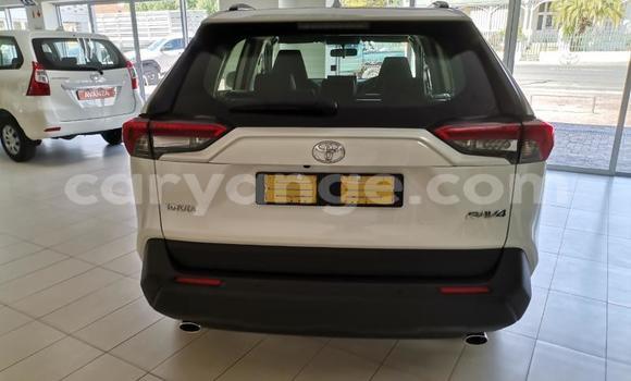 Acheter Occasion Voiture Toyota RAV4 Blanc à Karasburg, Karas Acheter Occasion Voiture Toyota RAV4 Blanc à Karasburg, Karas