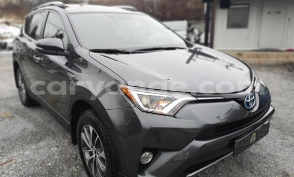 Buy Used Toyota RAV4 Other Car in Windhoek in Namibia