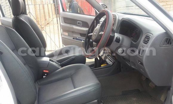 Buy Used Nissan Navara White Car in Windhoek in Namibia Buy Used Nissan Navara White Car in Windhoek in Namibia