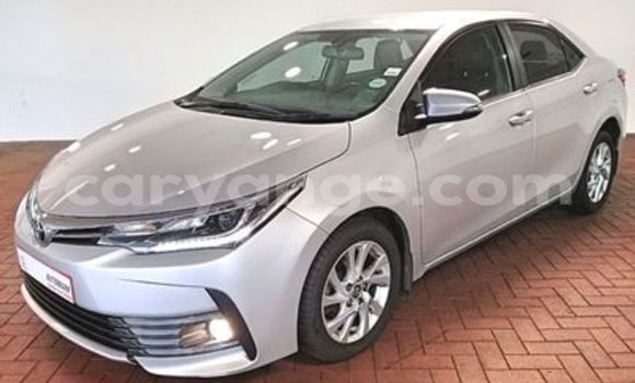 Buy Used Toyota Corolla White Car in Swakopmund in Namibia