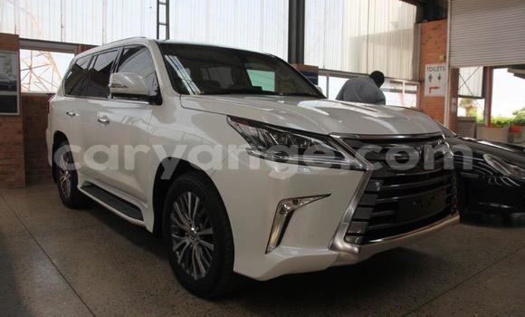Buy Used Lexus LX 570 White Car in Windhoek in Namibia Buy Used Lexus LX 570 White Car in Windhoek in Namibia