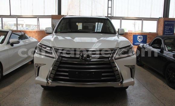 Buy Used Lexus LX 570 White Car in Windhoek in Namibia Buy Used Lexus LX 570 White Car in Windhoek in Namibia