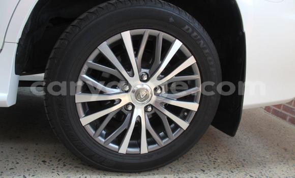 Buy Used Lexus LX 570 White Car in Windhoek in Namibia Buy Used Lexus LX 570 White Car in Windhoek in Namibia
