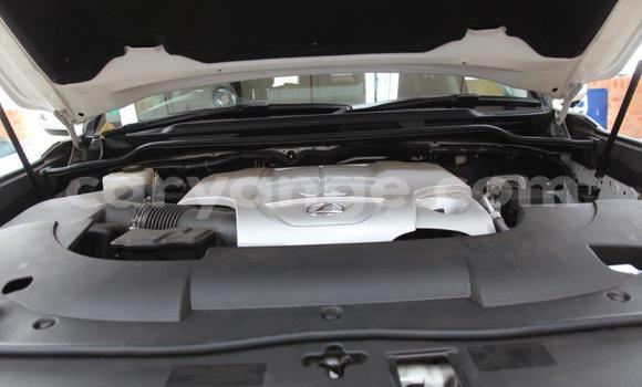 Buy Used Lexus LX 570 White Car in Windhoek in Namibia Buy Used Lexus LX 570 White Car in Windhoek in Namibia