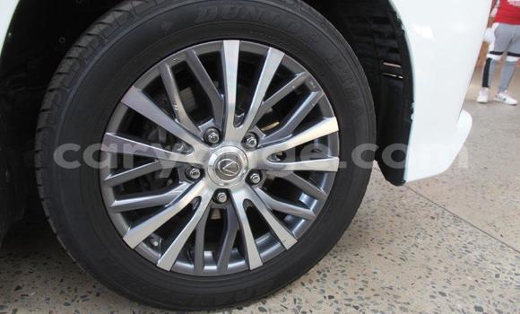 Buy Used Lexus LX 570 White Car in Windhoek in Namibia Buy Used Lexus LX 570 White Car in Windhoek in Namibia