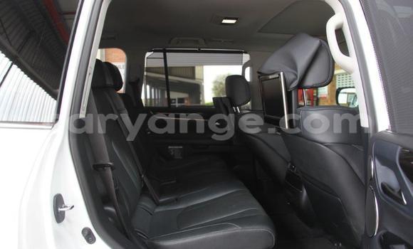 Buy Used Lexus LX 570 White Car in Windhoek in Namibia Buy Used Lexus LX 570 White Car in Windhoek in Namibia
