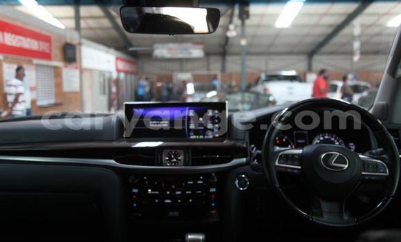 Buy Used Lexus LX 570 White Car in Windhoek in Namibia Buy Used Lexus LX 570 White Car in Windhoek in Namibia