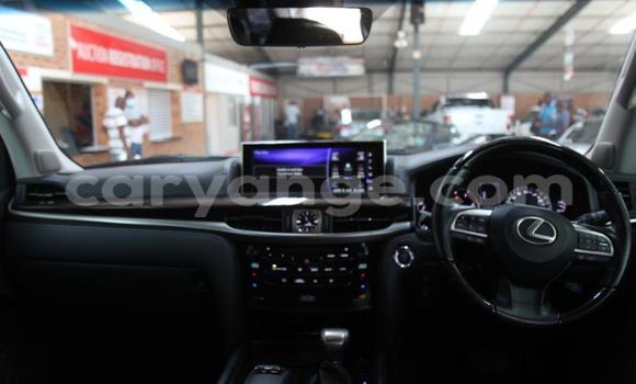 Buy Used Lexus LX 570 White Car in Windhoek in Namibia Buy Used Lexus LX 570 White Car in Windhoek in Namibia