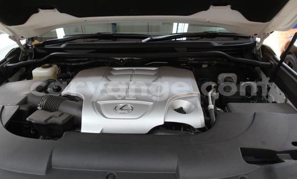 Buy Used Lexus LX 570 White Car in Windhoek in Namibia Buy Used Lexus LX 570 White Car in Windhoek in Namibia