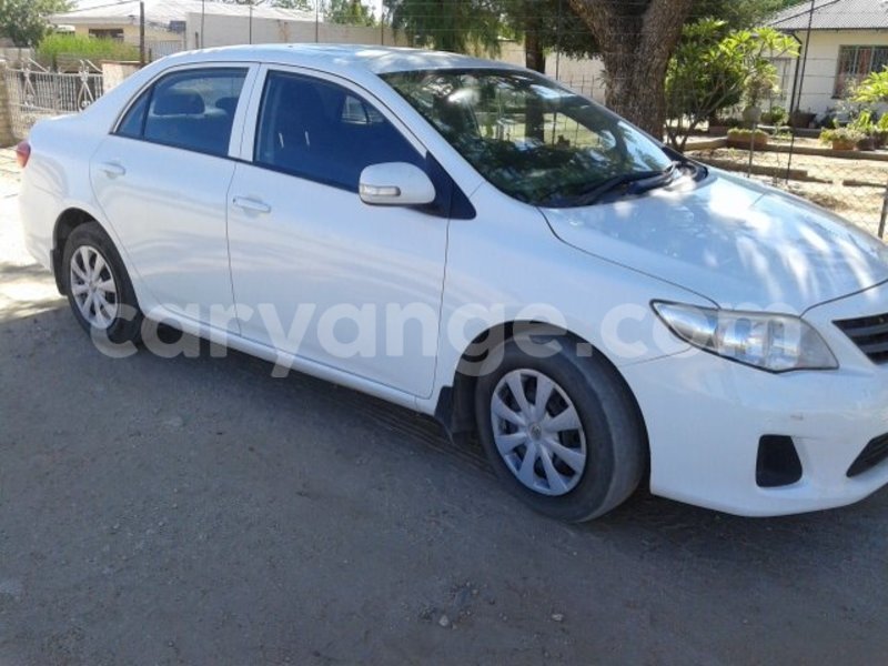 Big with watermark 13494878 1156954114346465 6036043871206417598 n