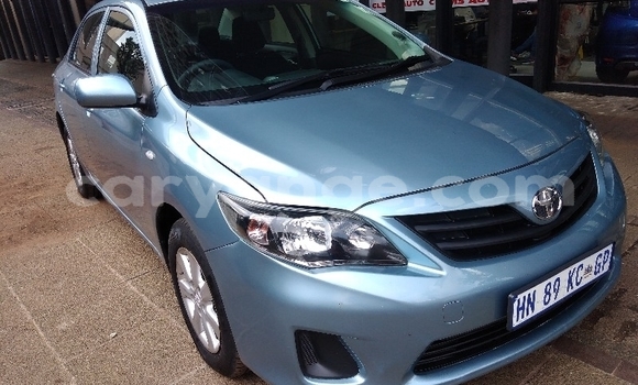 Buy Used Toyota Corolla Green Car in Windhoek in Namibia