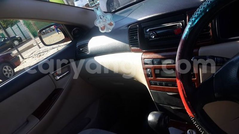 Big with watermark 12417975 1264988286849616 4704197055541561450 n