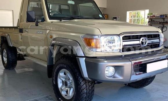 Buy Used Toyota Land Cruiser Brown Car in Gobabis in Omaheke