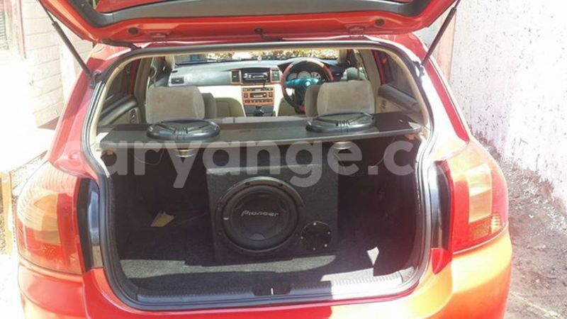 Big with watermark 12507203 1264988123516299 420221523142120506 n