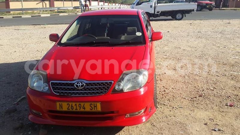 Big with watermark 12540729 1264987370183041 5121804468191430798 n