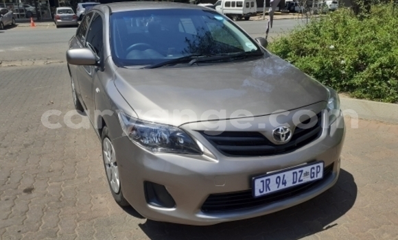 Buy Used Toyota Corolla II Brown Car in Windhoek in Namibia