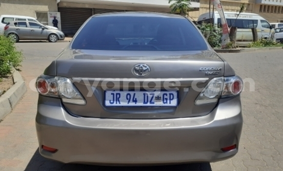 Acheter Occasion Voiture Toyota Corolla II Marron à Windhoek, Namibie Acheter Occasion Voiture Toyota Corolla II Marron à Windhoek, Namibie