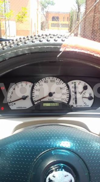 Big with watermark 12552980 1264988400182938 8871628585097384424 n