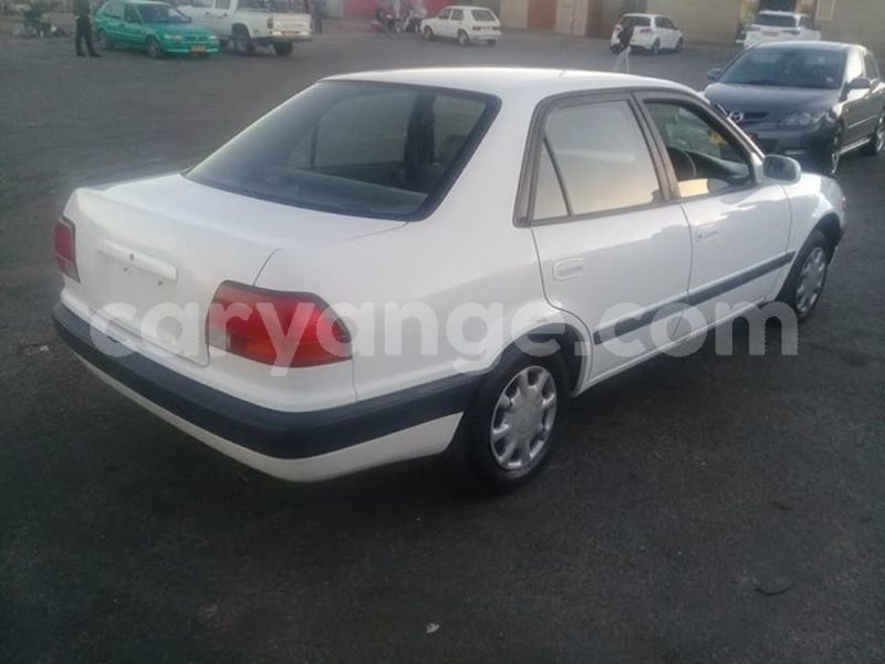 Big with watermark 30629329 194112211393369 244064733525704704 n