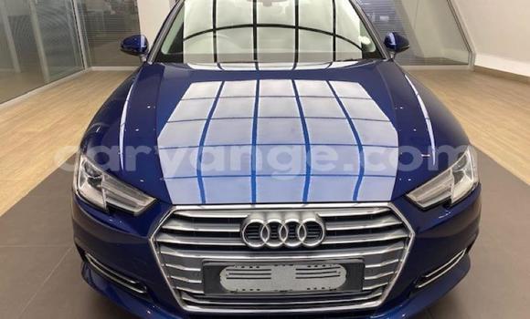 Acheter Occasion Voiture Audi A4 Bleu à Henties Bay, Erongo